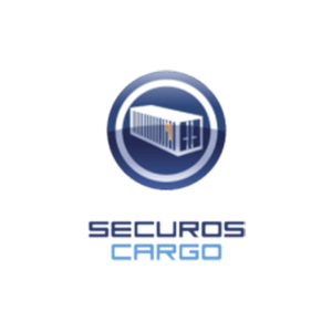 Licencia de Reconocimiento de Número de Contenedor SecurOS CARGO, por flujo de Cámara