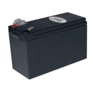Cartucho de Reemplazo TRIPP-LITE RBC2A