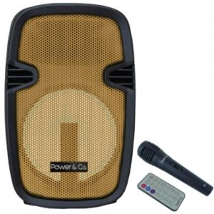 Bocina Power Co XP-8000GY