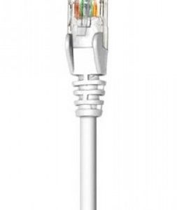 Cable de Red INTELLINET 341936