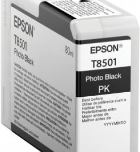 Cartucho EPSON T850100