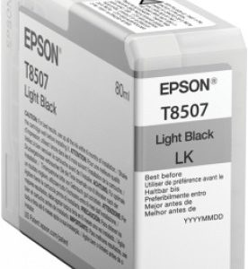 Cartucho EPSON T850700