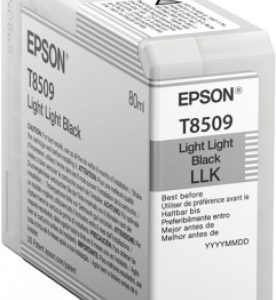 Cartucho EPSON T850900