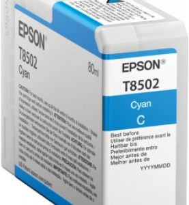 Cartucho EPSON T850200