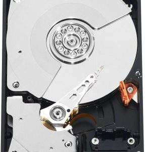 Disco Duro WESTERN DIGITAL WD1003FZEX
