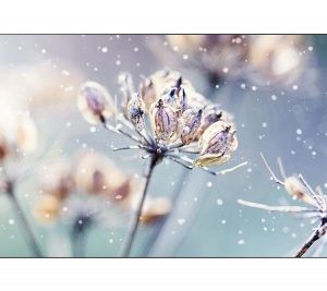 Pantalla Profesional Videowall SAMSUNG LH46VMRUBGB