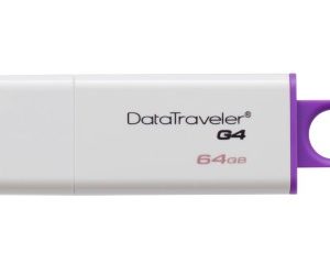 Memoria USB Kingston Technology DTIG4/64GB
