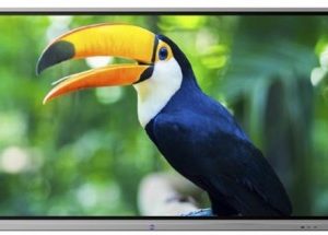 Pantalla interactiva BOXLIGHT 653U