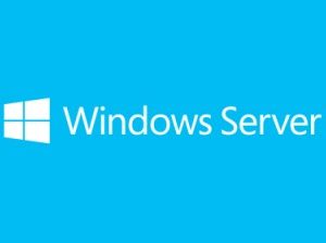 Sistema Operativo Windows Server 2019 MICROSOFT P73-07799