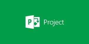 Software PROJECT ONLINE PROFESSIONAL MICROSOFT 7NS-00003